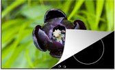 KitchenYeah® Inductie beschermer 78x52 cm - Zwarte tulp - Kookplaataccessoires - Afdekplaat voor kookplaat - Inductiebeschermer - Inductiemat - Inductieplaat mat