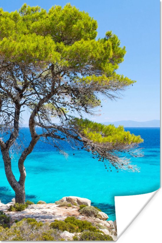 Poster Arbre - Mer - Tropical - Été - 20x30 cm