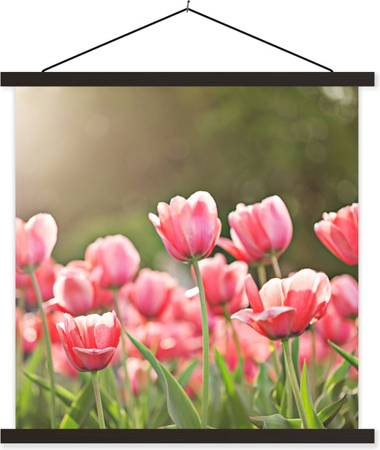 Porte-affiche avec affiche - Affiche scolaire - Tulipes - Soleil - Printemps - 60x60 cm - Lattes noires