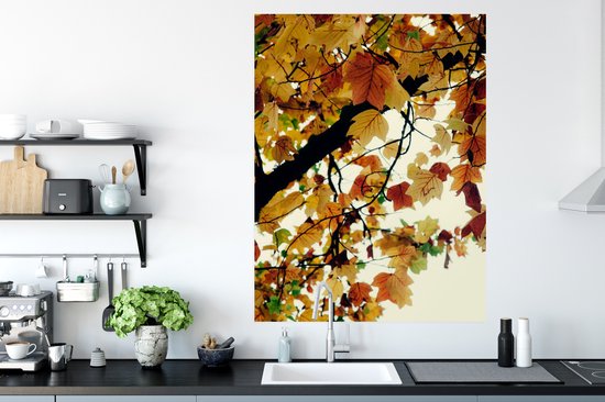Poster Arbres - Feuilles d'Automne - Nature - 90x120 cm