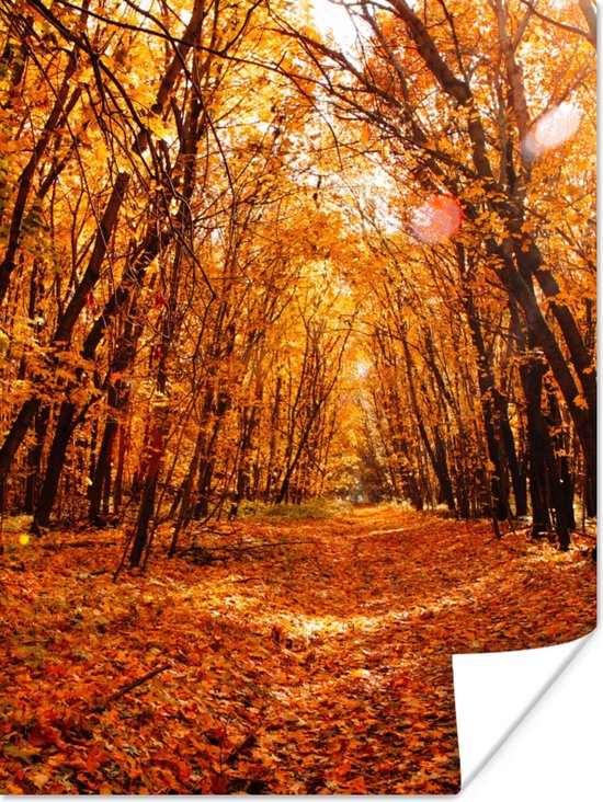 Poster Herfst - Bos - Bladeren - Seizoenen - 30x40 cm | bol