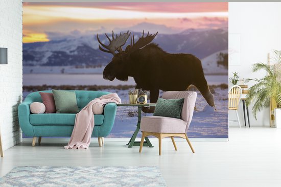Papier peint Papier peint photo en vinyle - Elk marche dans la neige largeur 390 cm x hauteur 260 cm - Tirage photo sur papier peint (disponible en 7 tailles)