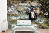 Behang - Fotobehang Stier draagt bagage in Bhutan - Breedte 600 cm x hoogte 400 cm