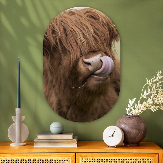 Miroir ovale - Décoration murale en plastique - Tableau ovale - Highlander écossais - Marron - Animaux - 60x90 cm - Forme miroir ovale sur plastique