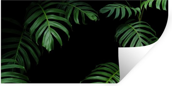 Stickers muraux - Film autocollant - Jungle - Plantes - Monstera - Garçons - Filles - Enfants - 120x60 cm - Film adhésif - Stickers muraux Chambre d'enfant - Papier peint autocollant