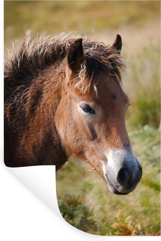 Muurstickers - Sticker Folie - Paard - Pony - Portret - 40x60 cm - Plakfolie - Muurstickers Kinderkamer - Zelfklevend Behang - Zelfklevend behangpapier - Stickerfolie