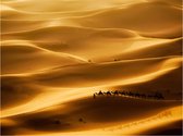 Fotobehang - Caravan van kamelen.