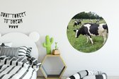 WallCircle - Cercle mural - Cercle mural - Vaches - Forêt - Fleurs - Aluminium - Dibond - 90x90 cm - Intérieur et Extérieur