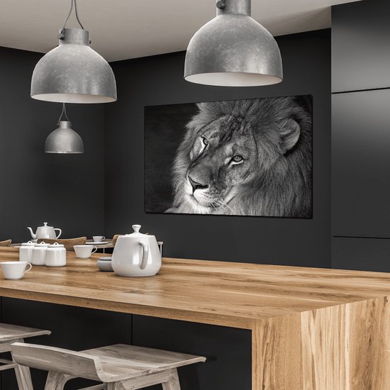 Wanddecoratie / Schilderij / Poster / Doek / Schilderstuk / Muurdecoratie / Fotokunst / Tafereel African lion black gedrukt op Geborsteld aluminium