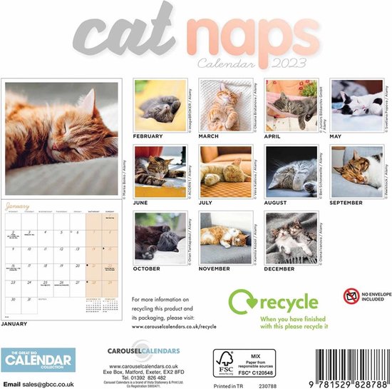 Cat Naps Kalender 2023
