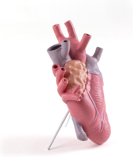 Seletti Love In Bloom Hart Vaas Color - Afbeelding 10