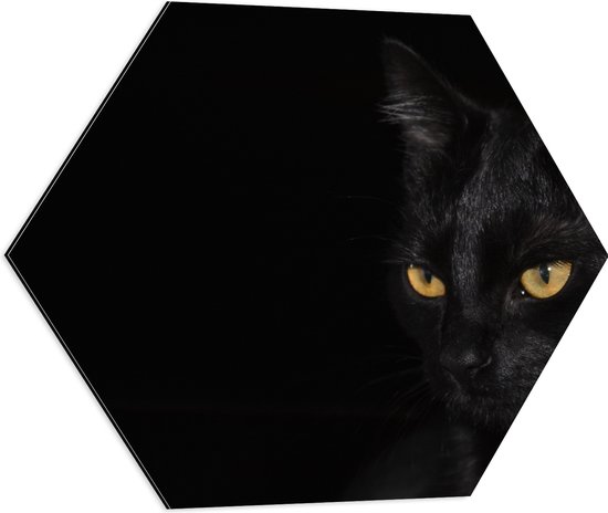 WallClassics - Dibond Hexagon - Zwarte Kat met Zwarte Achtergrond - 60x52.2 cm Foto op Hexagon (Met Ophangsysteem)