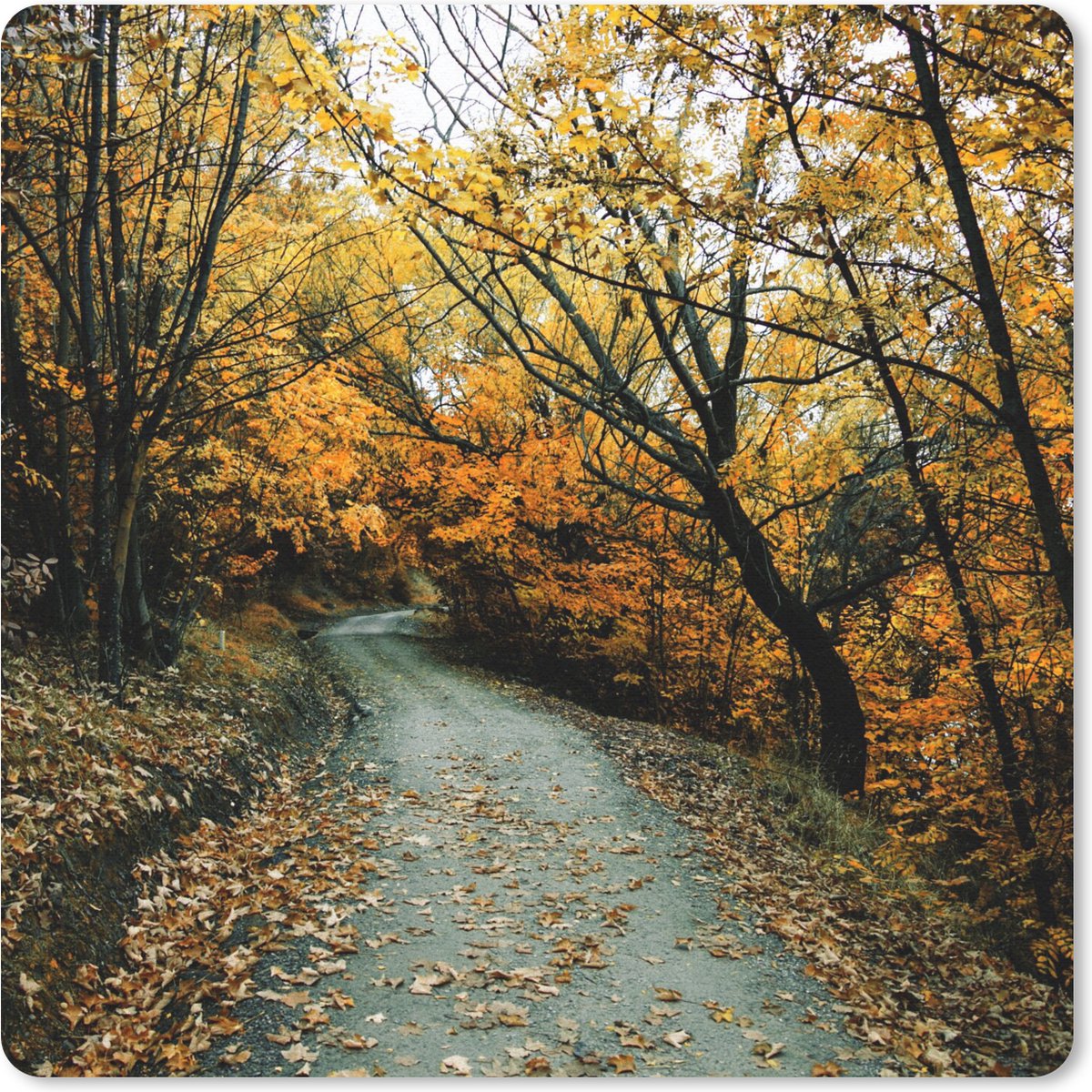 Muismat 20x20 cm - Mousepad Bladeren - Herfst - Bos - Muismatten