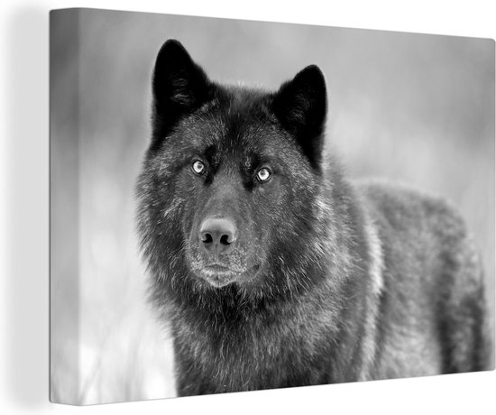 Loup noir en toile noir et blanc 2cm 30x20 cm - petit - Tirage photo sur toile (Décoration murale salon / chambre) / Animaux sauvages Peintures sur toile