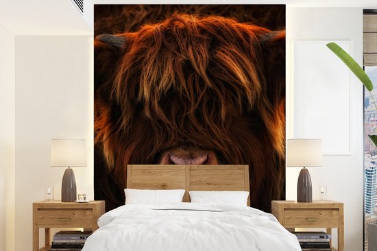 Behang - Fotobehang Schotse Hooglander - Koe - Zwart - Portret - Breedte 195 cm x hoogte 260 cm