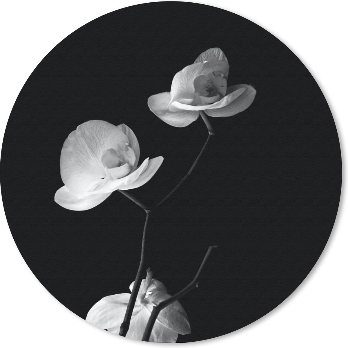 Muismat rond 20x20 cm - Mousepad Orchidee - Bloemen - Zwart - Wit - Stilleven - Ronde muismatten