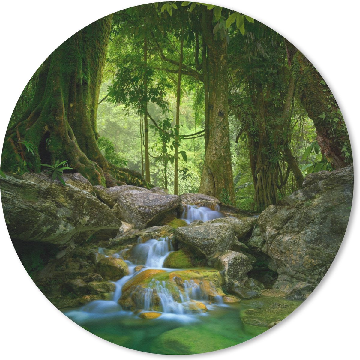 Muismat rond 30x30 cm - Mousepad Jungle - Stenen - Water - Natuur - Planten - Ronde muismatten