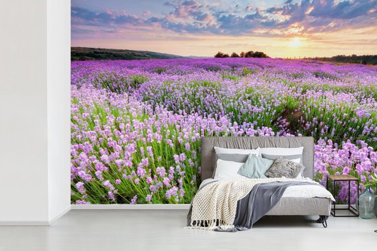 Papier peint - Papiers Papier peint photo - Mer de Fleurs Violette - Largeur 330 cm x Hauteur 220 cm