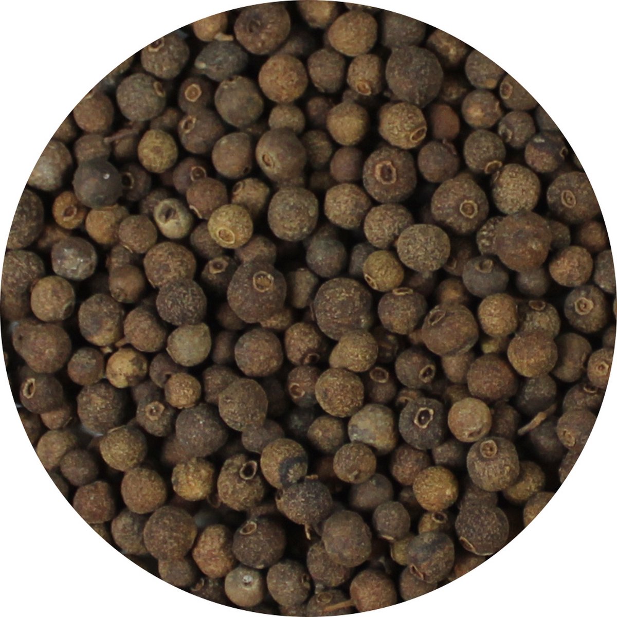 Goedkoopste Van Beekum Specerijen - Piment Heel - 15 KG - Zak (bulk verpakking