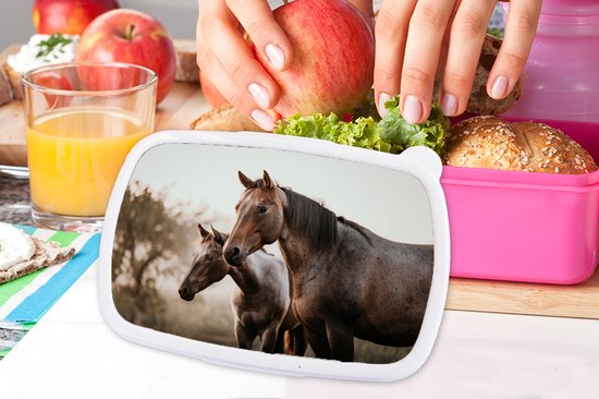 Boîte à pain Rose - Boîte à lunch - Boîte à pain - Paarden - Nature - Marron - 18x12x6 cm - Enfants - Fille - Cadeau Sinterklaas - Distribution cadeaux pour enfants - Chaussures cadeaux Sinterklaas