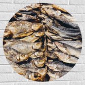 WallClassics - Muursticker Cirkel - Verse Vissen op een Vismarkt - 70x70 cm Foto op Muursticker