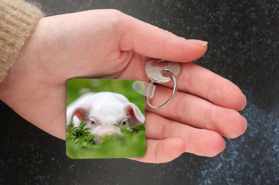 Porte-clés - Cadeaux - Cochon - Animaux - Porcelet - Plastique