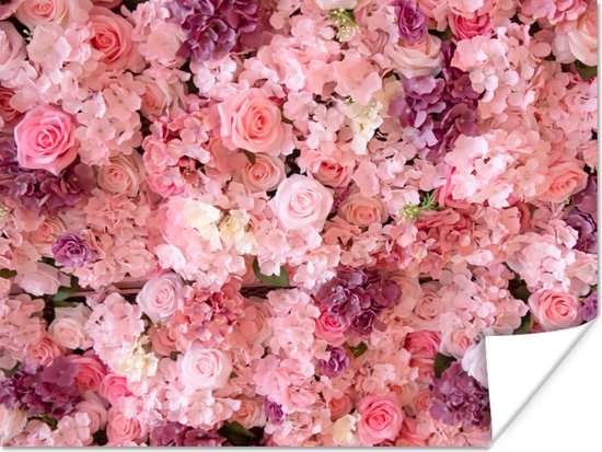 Affiche Fleurs - Rose - Roses - 160x120 cm XXL