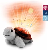 Zazu Projector Tim De Schildpad