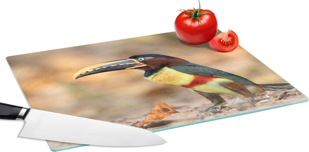 Glazen Snijplank - 39x28 - Vogel - Toekan - Veren - Natuur - Snijplanken Glas