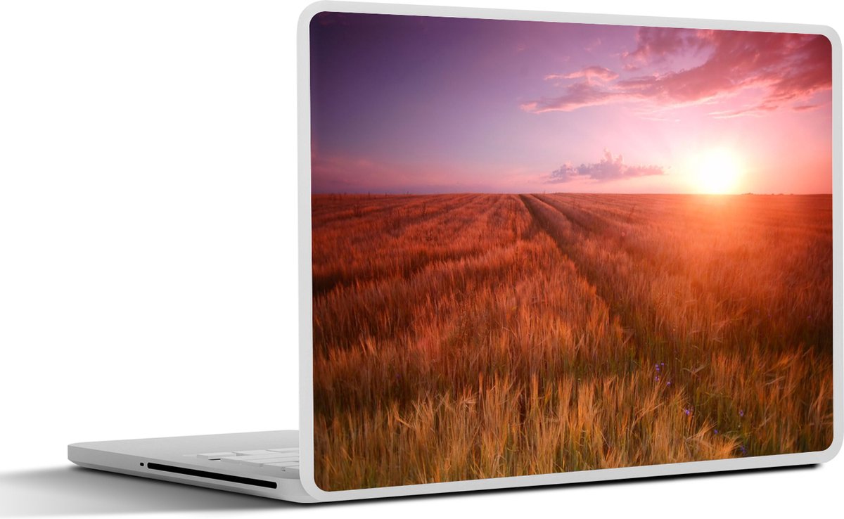 Laptop sticker - 14 inch - Grasveld - Zon - Avond - Landschap - 32x5x23x5cm - Laptopstickers - Laptop skin - Cover