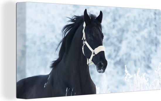 Toile Peinture Cheval - Neige - Hiver - 40x20 cm - Décoration murale