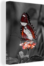 Canvas - Dieren - Vlinder - Bloemen - Natuur - Oranje - Woonkamer - 60x80 cm - Canvas doek - Schilderijen op canvas