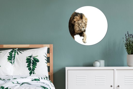 WallCircle - Stickers muraux - Cercle de papier peint - Lion - Wit - Animaux - 50x50 cm - Cercle mural - Autocollant - Autocollant papier peint rond