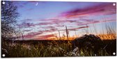 WallClassics - Tuinposter – Roze Wolken in de Lucht - 100x50 cm Foto op Tuinposter  (wanddecoratie voor buiten en binnen)