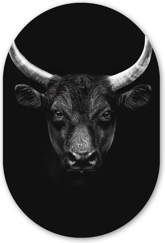 Wall Oval - Décoration murale Plastique - Tableau Ovale - Animaux - Taureau - Zwart - Wit - Portrait - 60x90 cm - Forme miroir ovale sur plastique