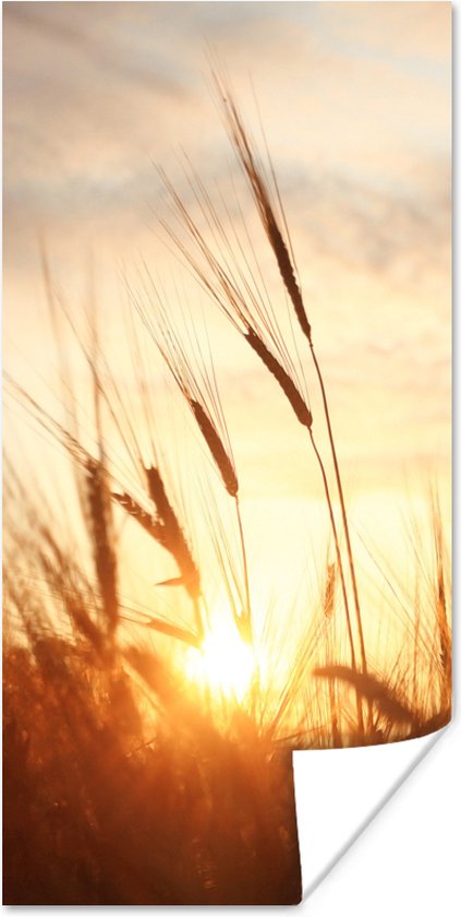 Poster Riet - Gras - Zonsondergang - Natuur - Horizon - 60x120 cm - Kerstversiering - Kerstdecoratie voor binnen - Kerstmis