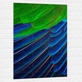 WallClassics - Muursticker - Prachtige Blauwe en Groene Veren - 80x120 cm Foto op Muursticker