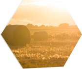 WallClassics - Plaque de Mousse PVC Hexagone - Balles de Foin sur Prairie - 70x60,9 cm Photo sur Hexagone (Avec Système d'accrochage)