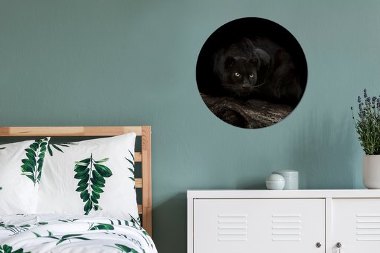 Panthère noire dans une forêt sombre cercle mural aluminium ⌀ 60 cm - impression photo sur cercle mural / cercle vivant / cercle de jardin (décoration murale)