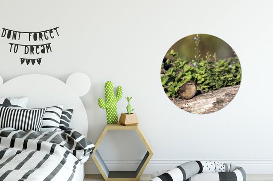 Troglodyte parmi les plantes vertes sur un tronc d'arbre Cercle mural aluminium ⌀ 60 cm - impression photo sur cercle mural / cercle vivant / cercle de jardin (décoration murale)