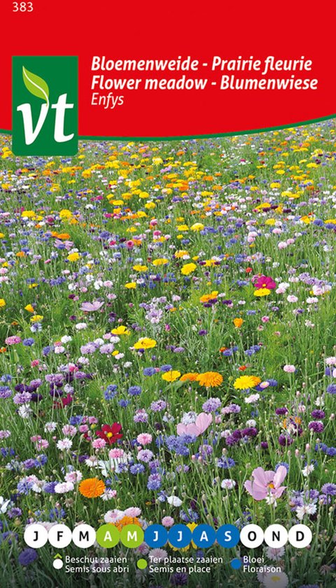 L'essentiel des fleurs : 1000 couleurs pour votre jardin - 5 sachets de graines