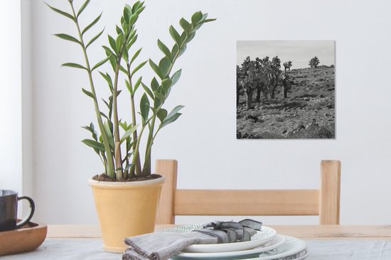 Peintures sur toile - Paysage rocheux avec cactus en Equateur - noir et blanc - 20x20 cm - Décoration murale