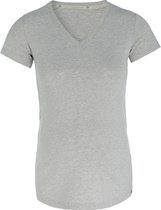 Baby's Only - Zwangerschaps T-shirt Glow dusty grey - Zwangerschapstop gemaakt uit 96% viscose en 4% elastaan - Zwangerschapsshirt voor de lente en zomer - S