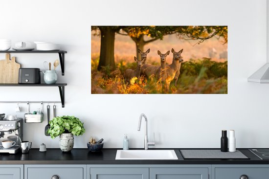 Stickers muraux - Film autocollant - Animaux de la forêt - Cerf - Lumière - 120x60 cm - Film adhésif - Stickers muraux chambre d'enfant - Papier peint autocollant - Papier peint autocollant - Film autocollant