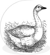 Une illustration d'un canard dans les hautes herbes Assiette en plastique cercle mural ⌀ 90 cm - impression photo sur cercle mural / cercle vivant (décoration murale)