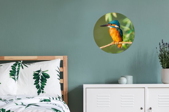 Cercle mural - Cercle mural - Vogel - Martin pêcheur - Branche - Feuilles - Plastique - 30x30 cm - Tableaux ronds - Décoration murale ronde - Cercle mural animaux
