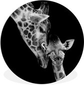 Wandcirkel - Muurcirkel - Kunststof - Muurdecoratie rond - Wilde dieren - Giraffe - Familie - Zwart wit - Ronde schilderijen - Schilderij rond - ⌀ 30 cm - Ronde wanddecoratie