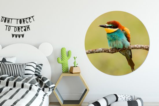 Cercle Mural - Cercle Mural - Vogel - Guêpier - Animaux - Aluminium - Dibond - 140x140 cm - Intérieur et Extérieur