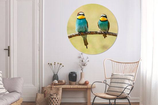 WallCircle - Cercle mural - Vogels - Animaux - Guêpier - Aluminium - Dibond - ⌀ 120 cm - Intérieur et extérieur XXL