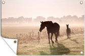 Muurdecoratie Paarden - Mist - Silhouette - 180x120 cm - Tuinposter - Tuindoek - Buitenposter